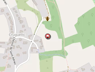 Carte de Ronan Consultant à Ploemeur