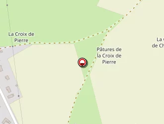 Carte de Pineau Véronique à Toucy