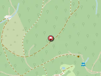 Carte de Ragnes Patrick à Rougemont-le-château