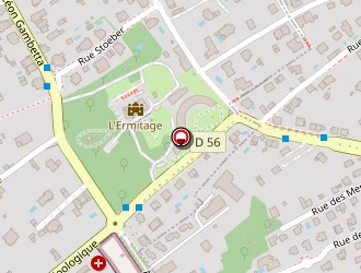 Carte de Steyer Michel à Riedisheim