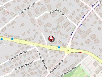 Carte de Buttner Clément à Riedisheim