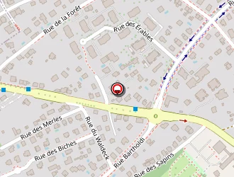 Carte de Préférence Immobilier à Riedisheim