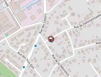 Carte de Remax Concept à Mulhouse