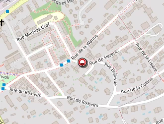 Carte de Hanskens Georges à Riedisheim