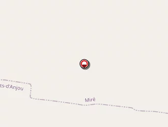 Carte de Landon Nicolas à Contigné