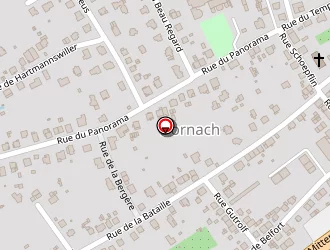 Carte de Koehl Patrick à Mulhouse