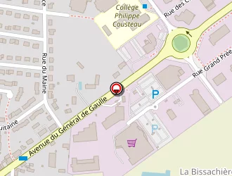 Carte de Cyrille Théard à Pouancé