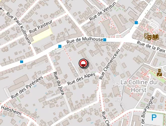 Carte de Druesne-rohrbach Pascale à Riedisheim