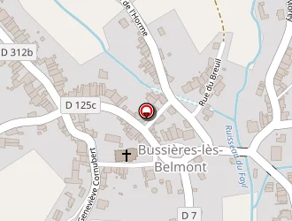 Carte de Bizzaro Gérard à Champsevraine