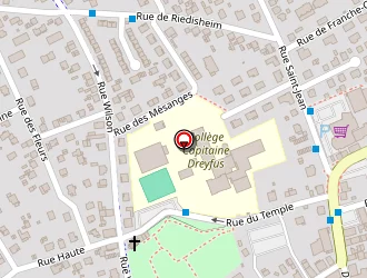 Carte de Saltzmann Roland à Rixheim