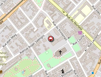 Carte de Falouti Abdenasser à Mulhouse