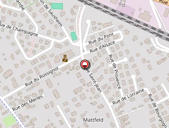 Carte de Topo Bati à Rixheim