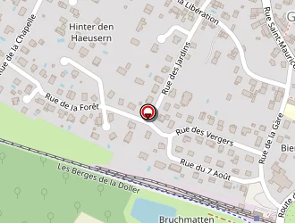 Carte de Gegout Guy à Guewenheim