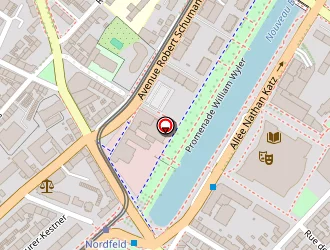 Carte de Goldschmidt Marianne à Mulhouse