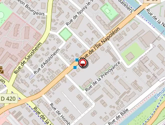 Carte de Amarilys Fleurs 7 Sur 7 à Mulhouse