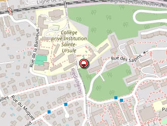 Carte de Mignan Lionel à Rixheim