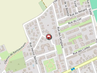 Carte de Biondi Elisabeth à Rixheim