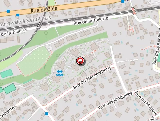 Carte de Christen Immobilier à Riedisheim