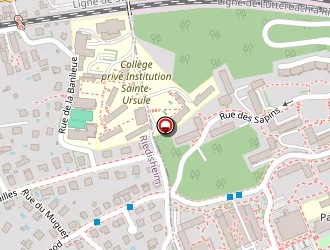 Carte de Ehni Christine à Rixheim