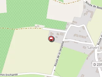 Carte de Dumas Patrick à Lhomme