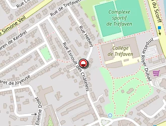 Carte de C.i.p.p.a (cycle Insertion Professionnel Par Alternance) à Lorient