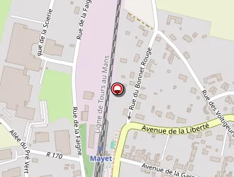 Carte de Salion Dominique à Mayet