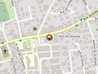 Carte de Ecole Rudolf Steiner De Haute Alsace à Lutterbach