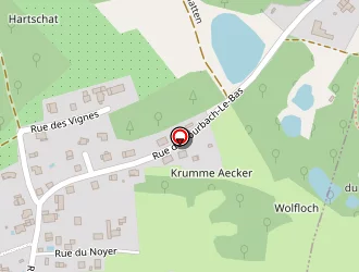 Carte de Fellmann Eric à Lauw