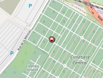 Carte de Guldali Faruk à Mulhouse