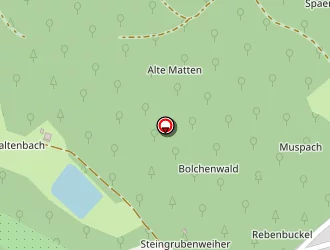 Carte de Angiolini Anthoni Anthoni à Lauw