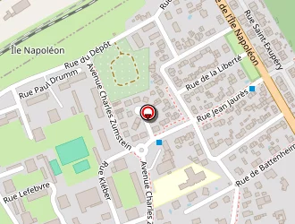 Carte de Boxing à Rixheim