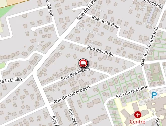 Carte de Sies Patrick à Pfastatt