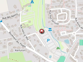 Carte de Chez Flo à Clohars-carnoët