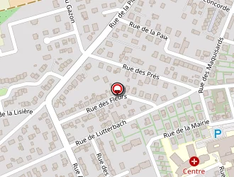 Carte de Ruch Michel à Pfastatt