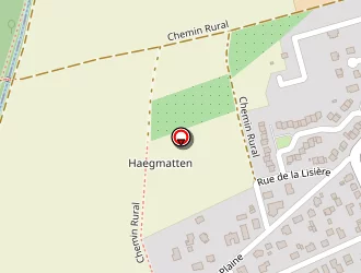 Carte de Bensel Jean-claude à Pfastatt