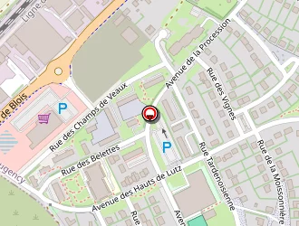 Carte de Mb 2l Conseil à Beaugency