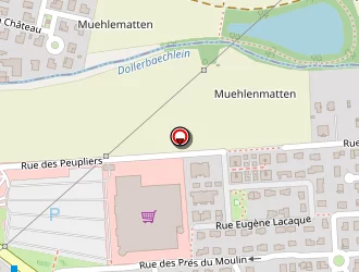 Carte de Paul Services (auto-entrepreneur) à Pfastatt