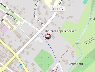 Carte de Club Menu à Masevaux