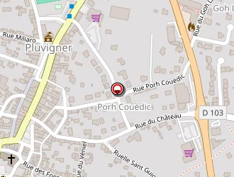 Carte de Braud Jean à Pluvigner