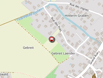 Carte de Schnebelen Michel à Aspach-le-haut