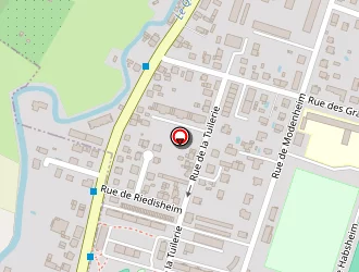 Carte de Pressing Car à Sausheim