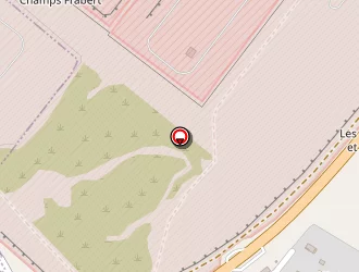 Carte de Saônoise Des Résineux à Chapelle-lès-luxeuil (la)