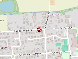 Carte de Grosse Patrice à Pfastatt