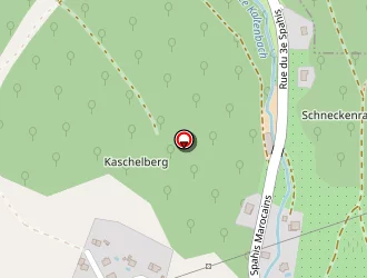 Carte de Berthier Dorgler Sonia à Bourbach-le-bas