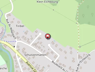 Carte de Laboratoire Haas à Masevaux