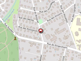 Carte de Lacoste Philippe à Illzach