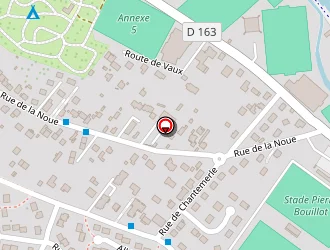 Carte de Dumont Patrick à Auxerre