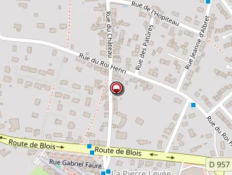 Carte de Brûlé Karina à Vendôme