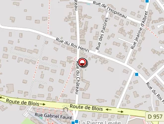 Carte de Stevant Jacky à Vendôme