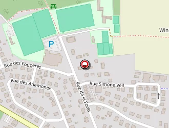 Carte de Schaub Claude à Richwiller